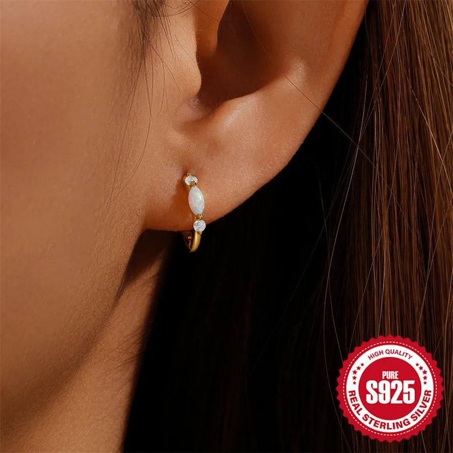 Créoles rondes serties de zircons en argent massif 925